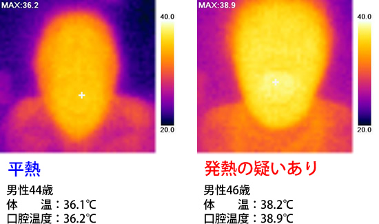 実測例